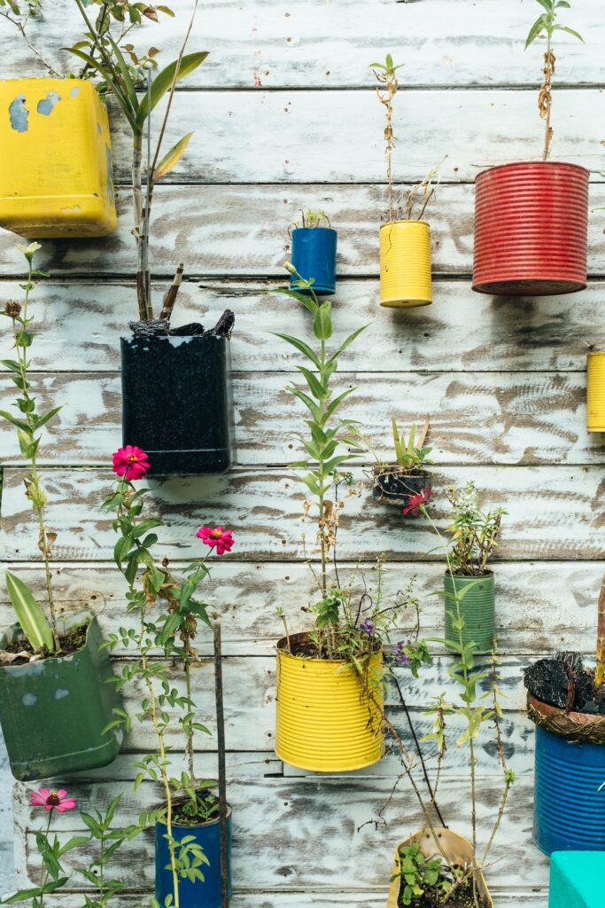 Various colored containers being reused as decorative plant hangers